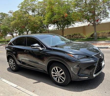 Usado Lexus NX 300 Platinum  en Dubai
